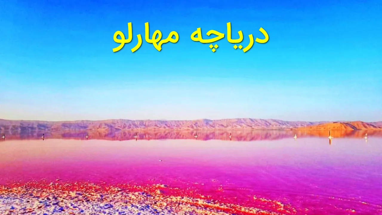 تولد دوباره دریاچه مهارلو؛ فلامینگوها بازگشتند! تصاویر اختصاصی از دریاچه مهارلو