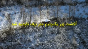 آلاشت زیر یک‌ونیم متر برف ناپدید شد