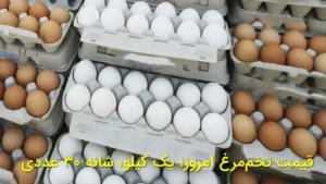 قیمت تخم‌مرغ امروز؛ یک کیلو، شانه ۳۰ عددی