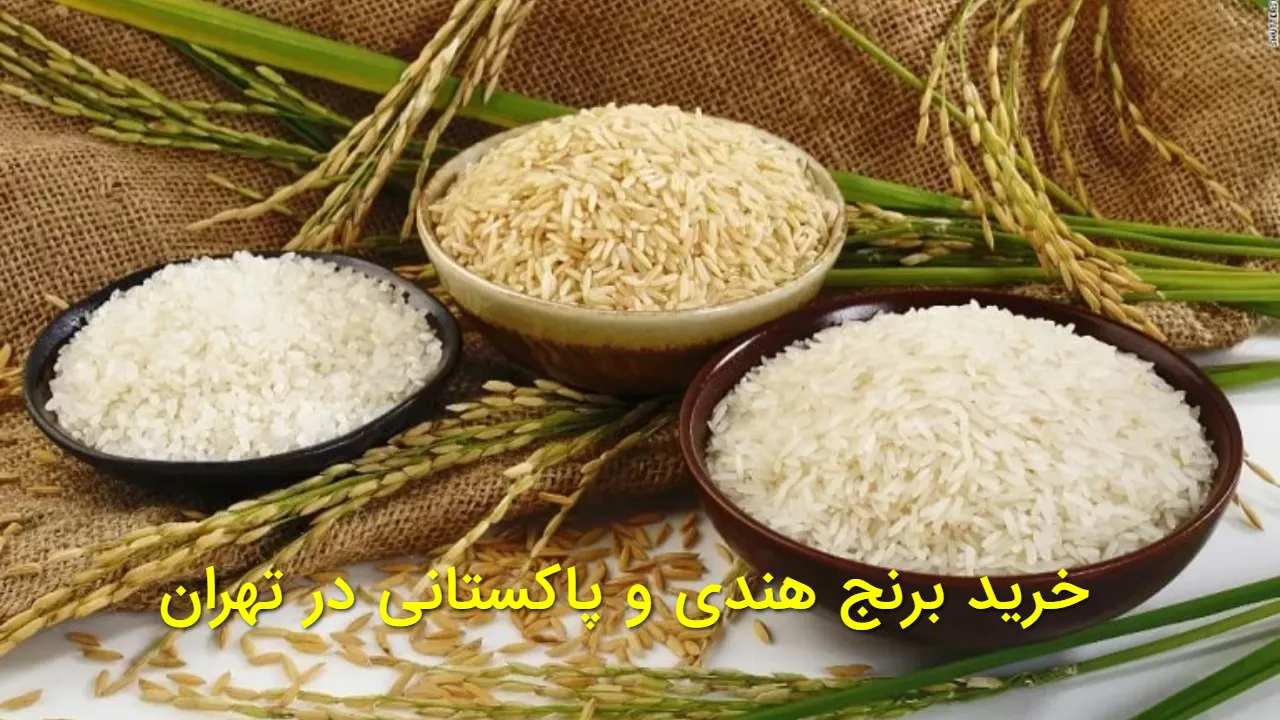 خرید برنج هندی و پاکستانی در تهران | قیمت مصوب و مراکز توزیع اعلام شد