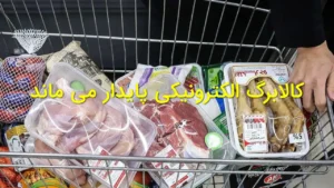 کالابرگ الکترونیکی پایدار می‌ماند
