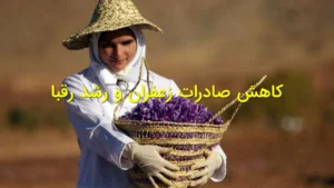 کاهش صادرات زعفران و رشد رقبا