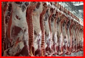 قیمت گوشت وارداتی اعلام شد؛ ورود گوشت ادامه دارد حتی با محدودیت‌های تنگه هرمز