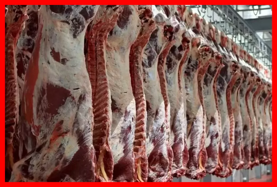 قیمت گوشت وارداتی اعلام شد؛ ورود گوشت ادامه دارد حتی با محدودیت‌های تنگه هرمز