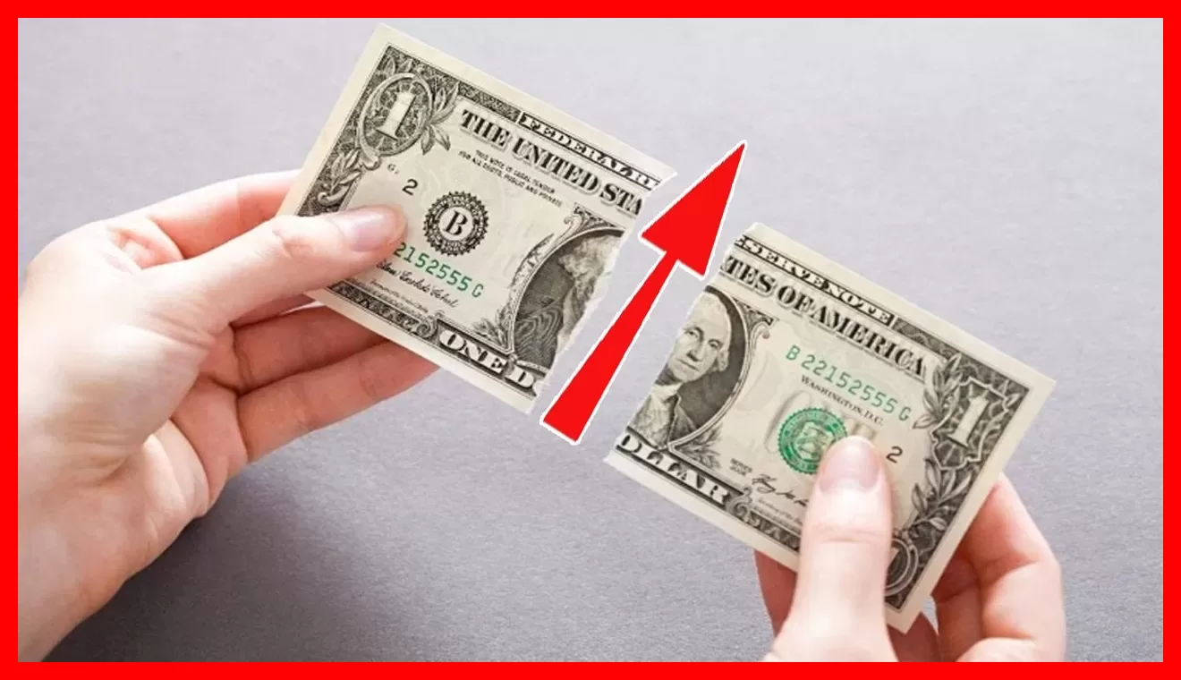 جدولی که نرخ دلار را برای ۵ سال پیش‌بینی کرد؛ قیمت شگفت‌انگیز دلار در سال ۱۴۰۶