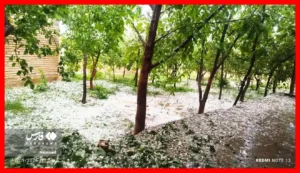 زنجان در برف سفیدپوش شد! + تصاویر دیدنی