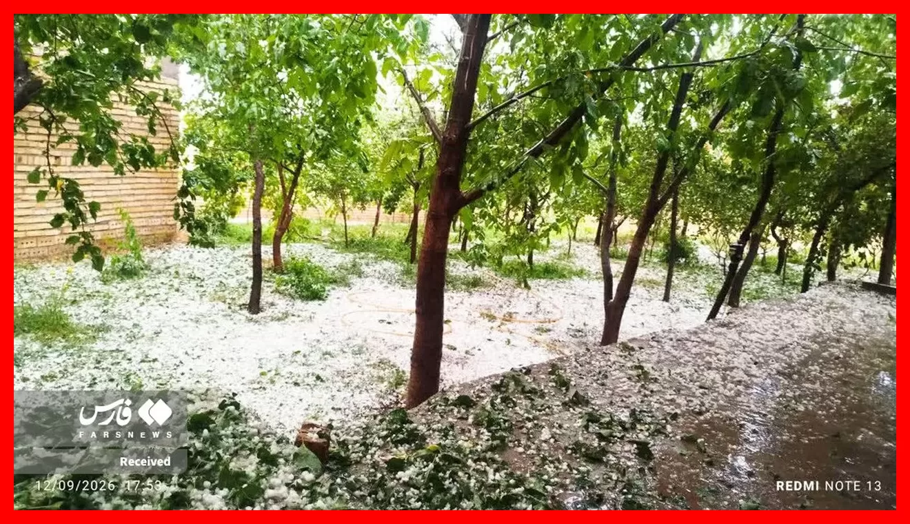زنجان در برف سفیدپوش شد! + تصاویر دیدنی