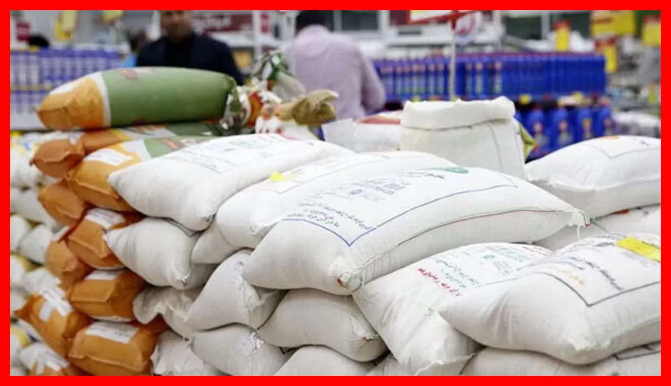 قیمت روز برنج ایرانی در بازار امروز؛ راهنمای خرید بهترین برنج ایرانی