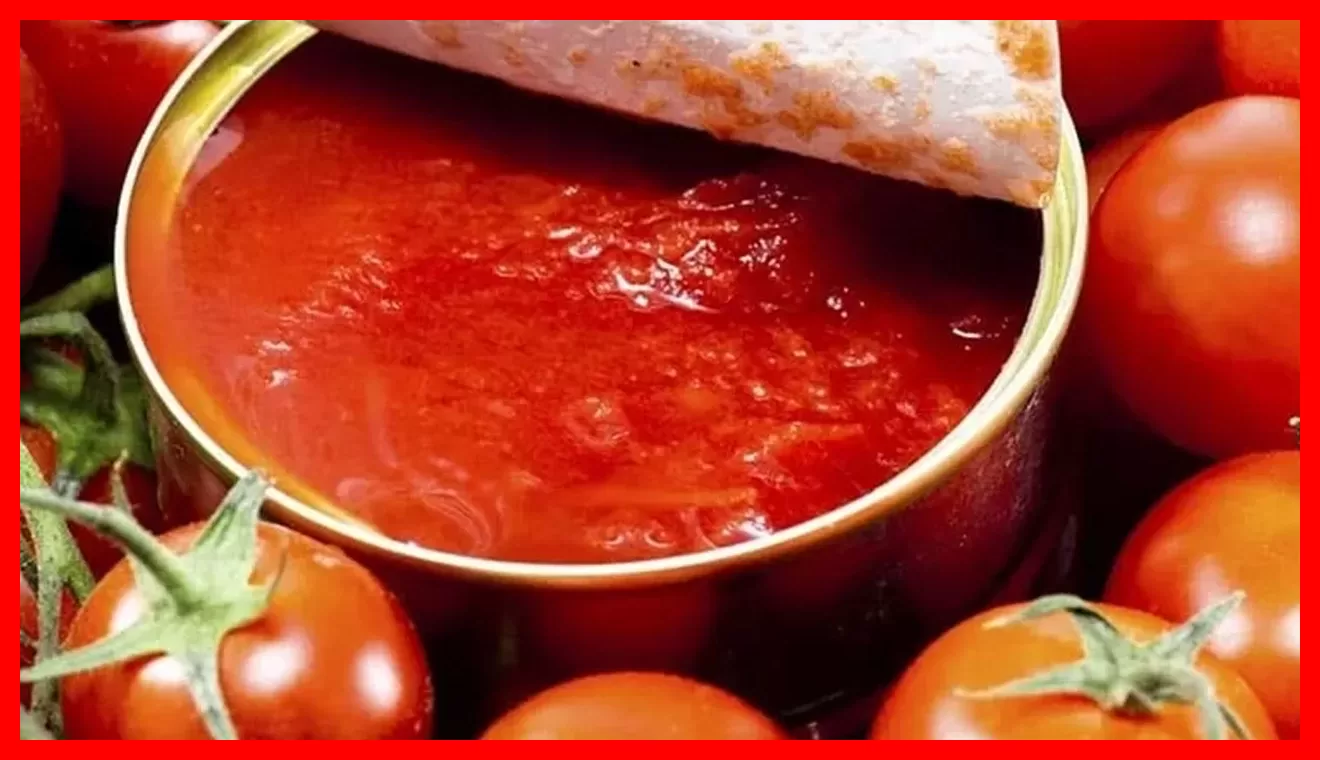 شوک گرانی رب‌گوجه در بازار؛ علت جهش ۵۷ درصدی قیمت چیست؟