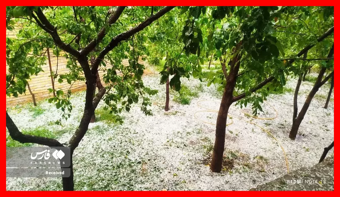 زنجان در برف سفیدپوش شد! + تصاویر دیدنی