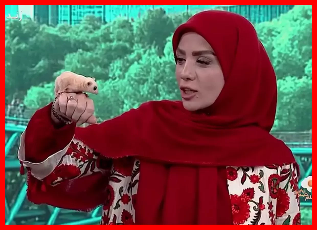 مبینای جنجالی با پارتی سنگین به تلویزیون می‌آید!