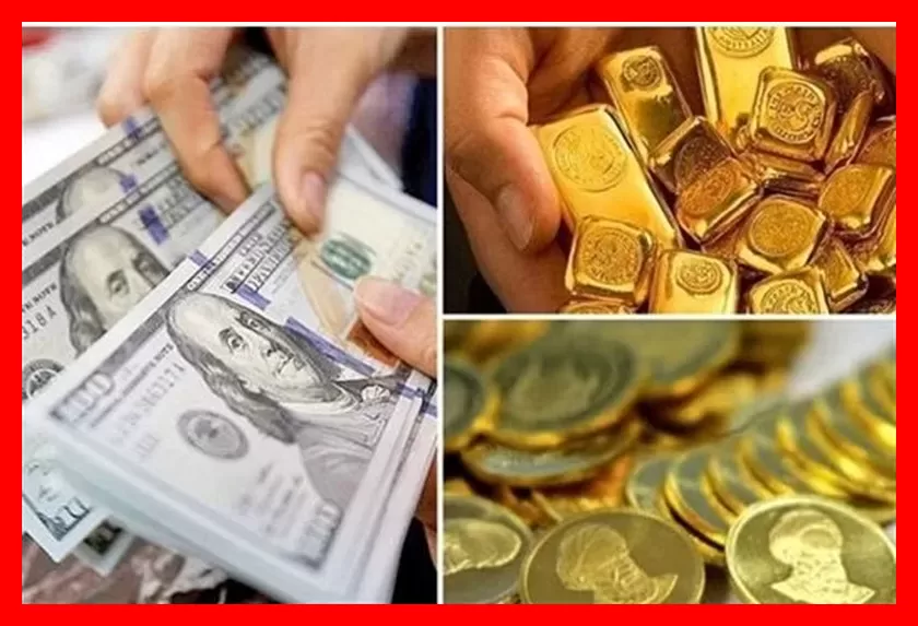 بازار طلا و ارز در سایه پول‌های مشکوک؛ آیا حکمرانی ریال راه‌حل نجات است؟