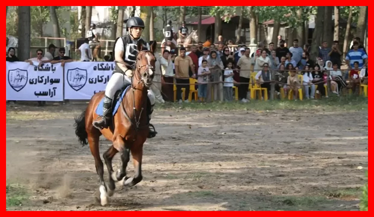 شوک بزرگ به سوارکاری ایران؛ علی عزیزنیا از حضور در بازی‌های آسیایی ناگویا بازماند