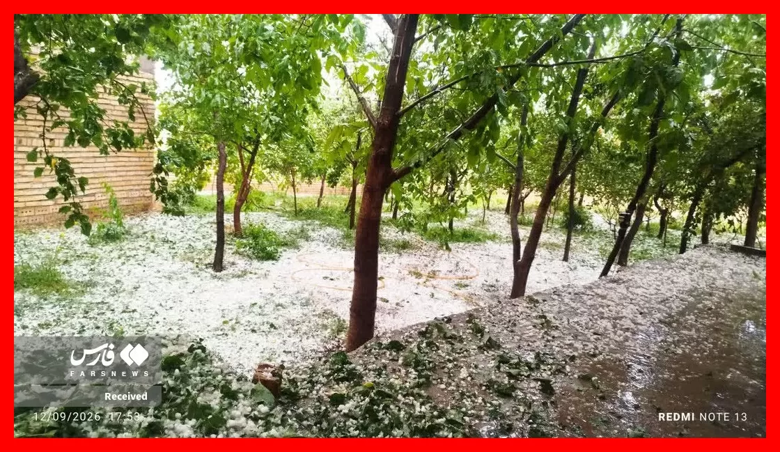 زنجان در برف سفیدپوش شد! + تصاویر دیدنی