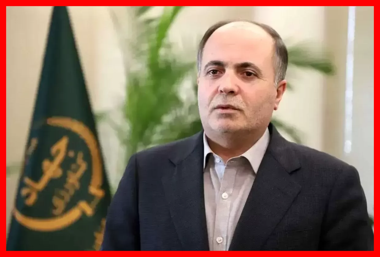 ممنوعیت توزیع گوشت بوفالو برای مصارف خانوار؛ نکاتی که باید بدانید