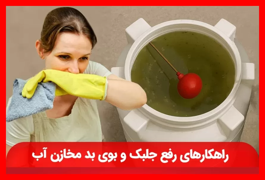 دلایل بوی بد و رشد جلبک در مخزن آب و بهترین روش‌های رفع و پیشگیری