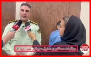 بازداشت سارق خشن تلفن همراه در محله ونک