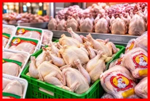 قیمت امروز مرغ ۲۳ شهریور ۱۴۰۵؛ نرخ سینه، ران و فیله مرغ در بازار