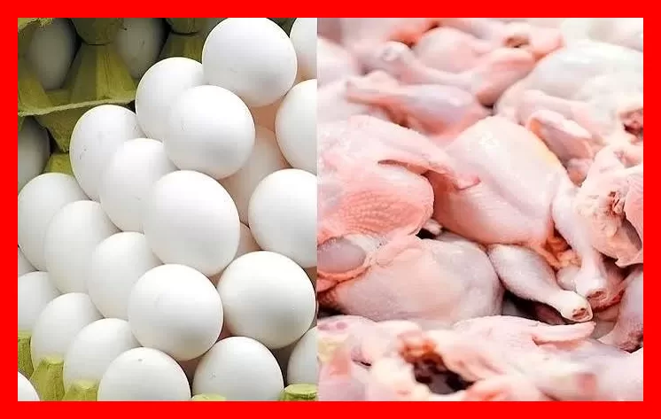 قیمت روز مرغ ۸ مهر ۱۴۰۵؛ جدیدترین نرخ فیله و سینه مرغ چقدر است؟