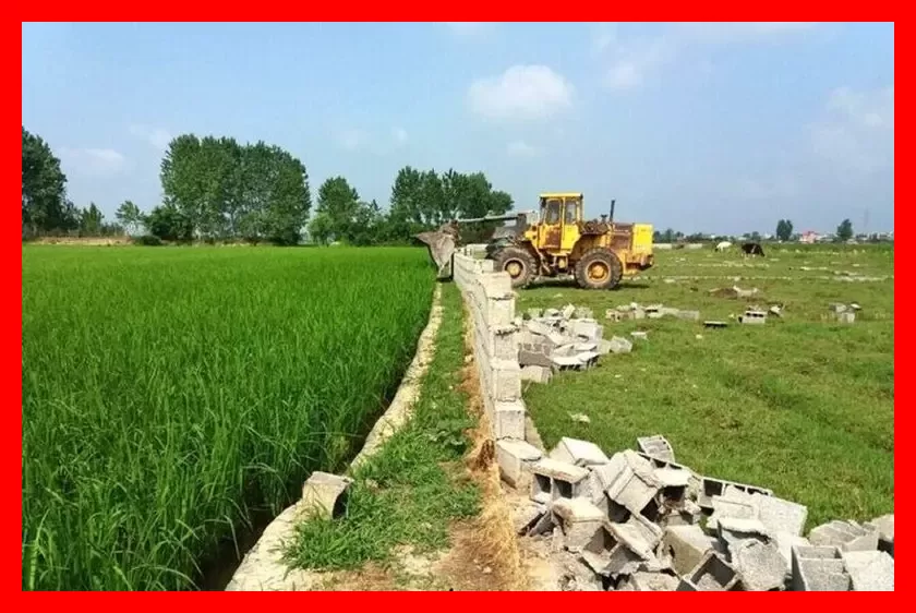 دستگیری چهار نفر در پرونده فساد جهاد کشاورزی کلاردشت مازندران
