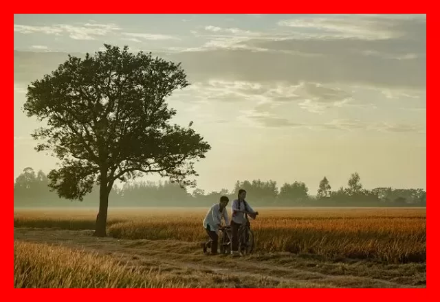 وقتی یک درام کوچک پدیده‌ای ۳۰۰ میلیون دلاری می‌شود