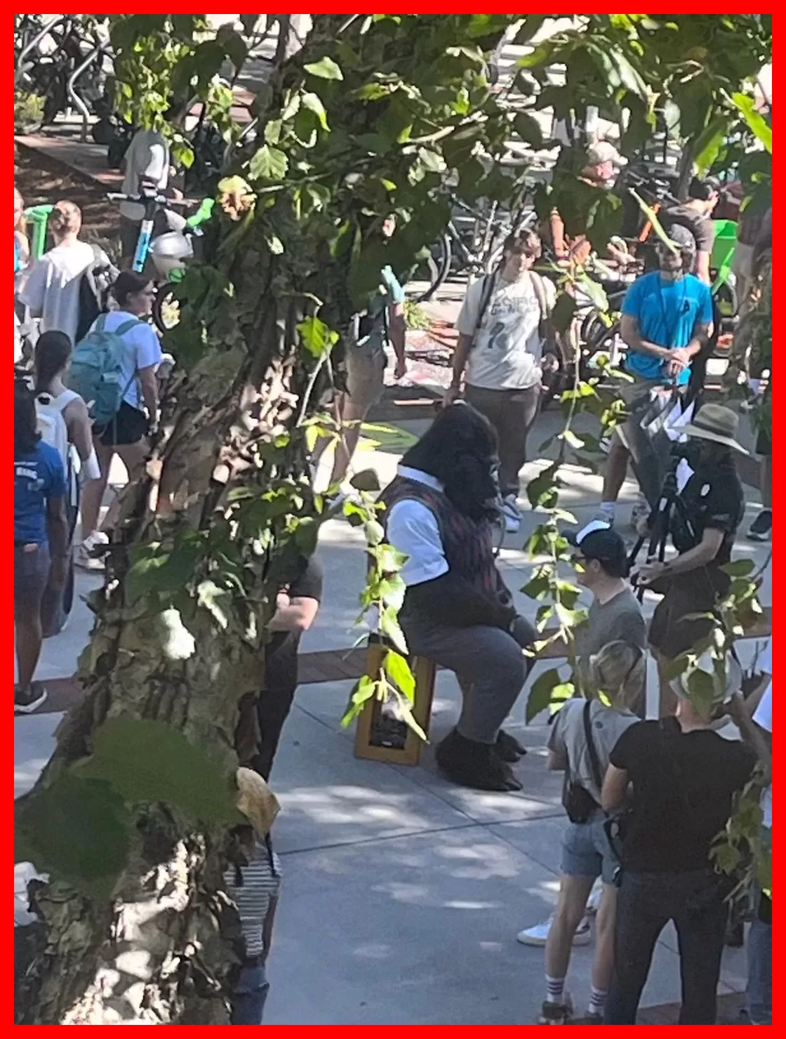 تیم تولید و عوامل فیلمبرداری در صحنه سریال The People Vs Gorilla Grodd
