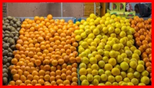نارنگی در مازندران به ۱۵۰ هزار تومان رسید؛ آخرین قیمت‌های جدید مرکبات را ببینید