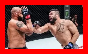 امیر علی اکبری بزودی خداحافظی غیرمنتظره‌ای از دنیای MMA خواهد داشت