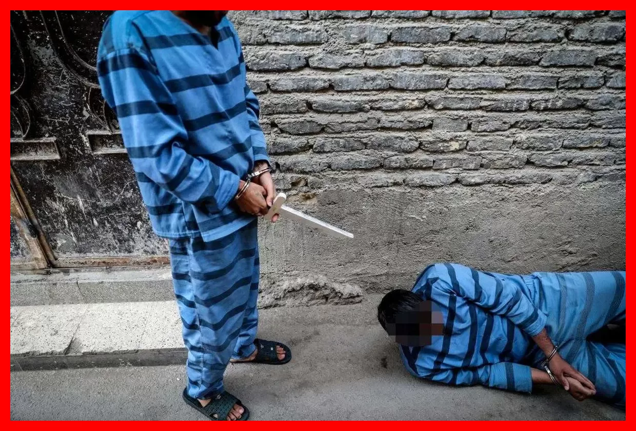 تصاویر بازسازی هیجانانگیز صحنه قتل بر سر کبوتر که شما را شگفتزده میکند