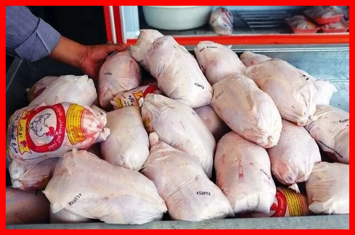 افزایش منطقی قیمت مرغ؛ معاون جهاد کشاورزی تهران خبر داد