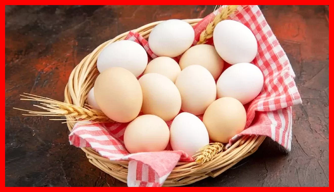 جزئیات جمع آوری این تخم مرغها از بازار که باید بدانید