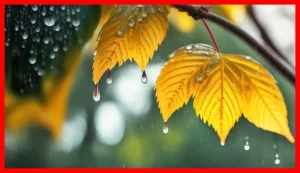 هشدار مهم هواشناسی برای ۱۷ استان؛ بارش شدید باران و رعدوبرق تا پنجشنبه ادامه دارد