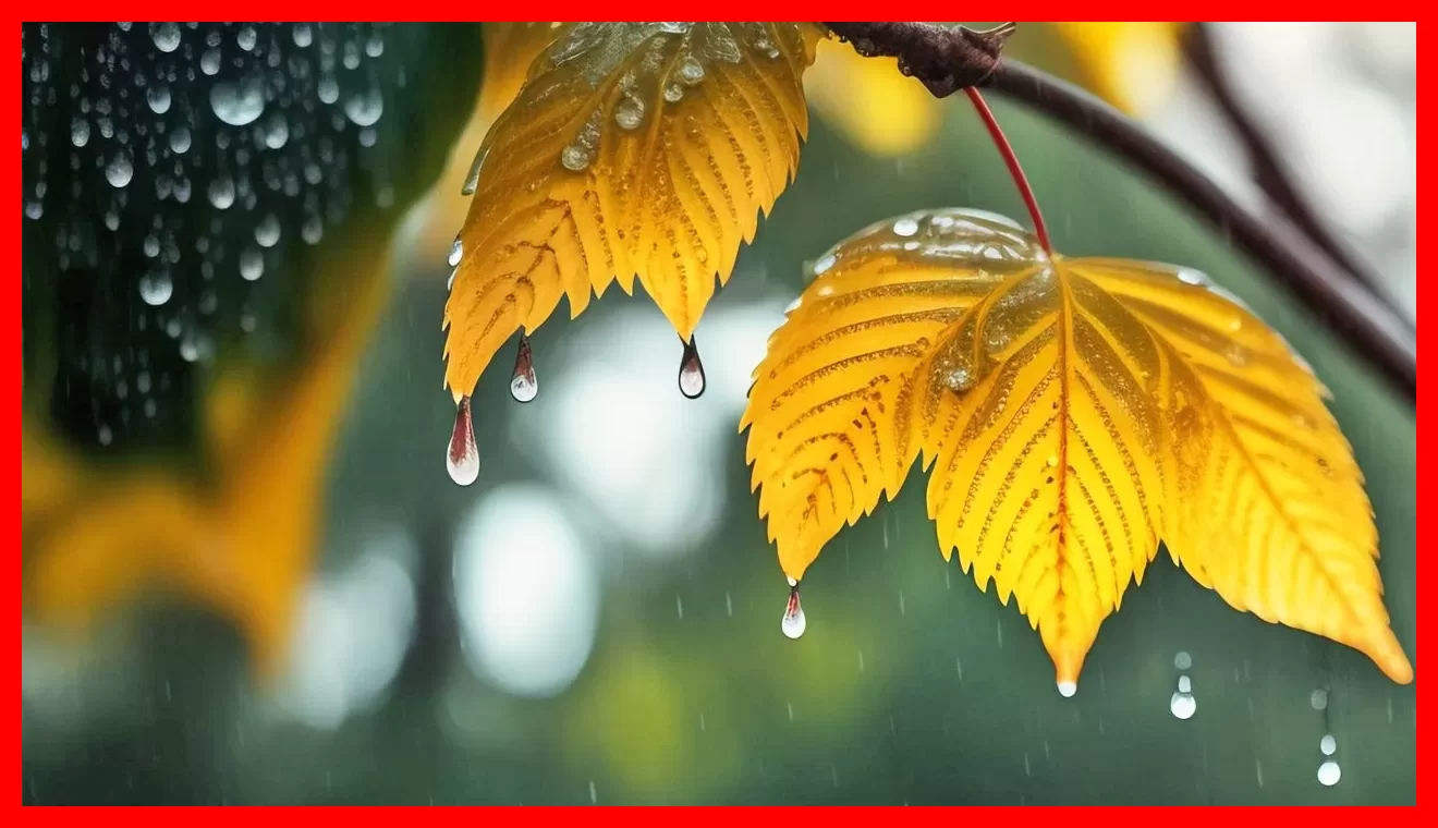 هشدار مهم هواشناسی برای ۱۷ استان؛ بارش شدید باران و رعدوبرق تا پنجشنبه ادامه دارد