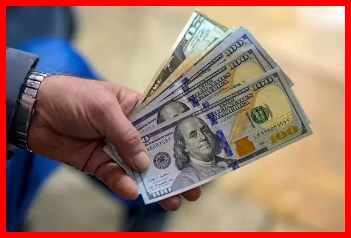 خرید دلار از شبکه رسمی بدون پرداخت مالیات، همین حالا اقدام کنید
