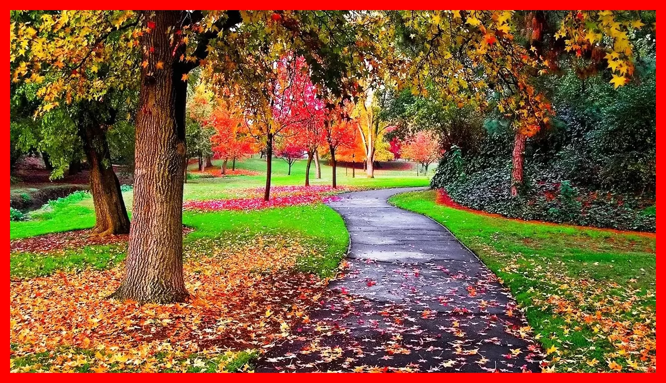هشدار بارشهای سیلآسا از دوشنبه؛ ورود سامانه بارشی جدید به 26 استان