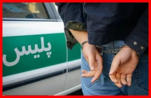 گربه صاحبخانه چگونه دزد را ترساند و خانه را نجات داد؟