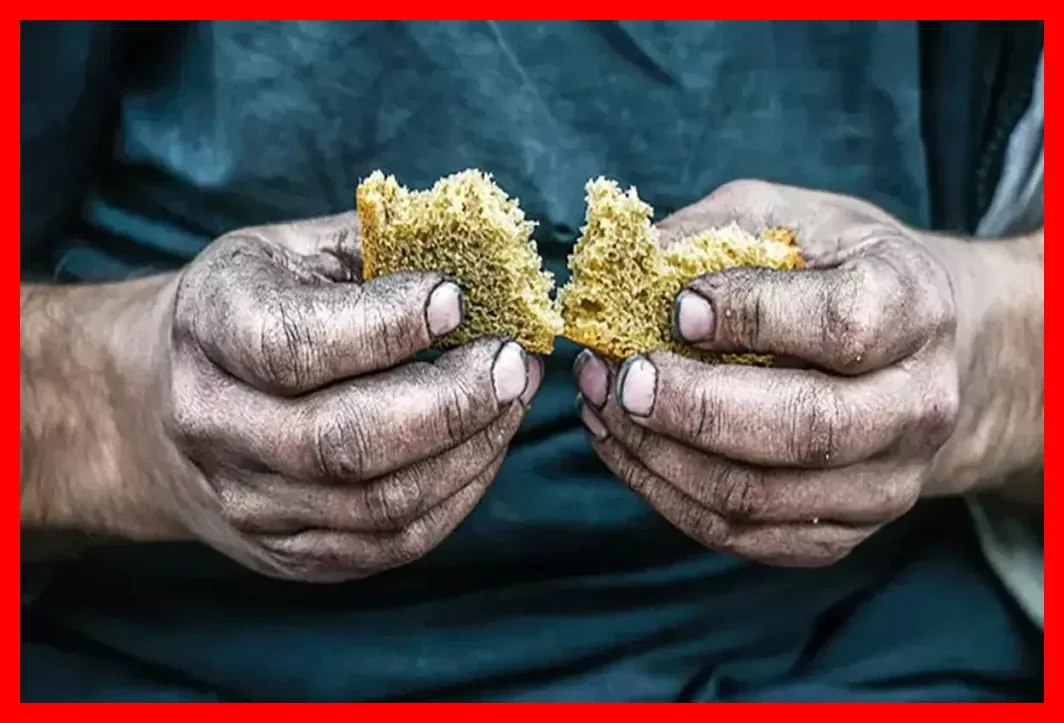 فائو: قیمت جهانی مواد غذایی در مسیر ثبت بالاترین رکورد ۴ سال اخیر