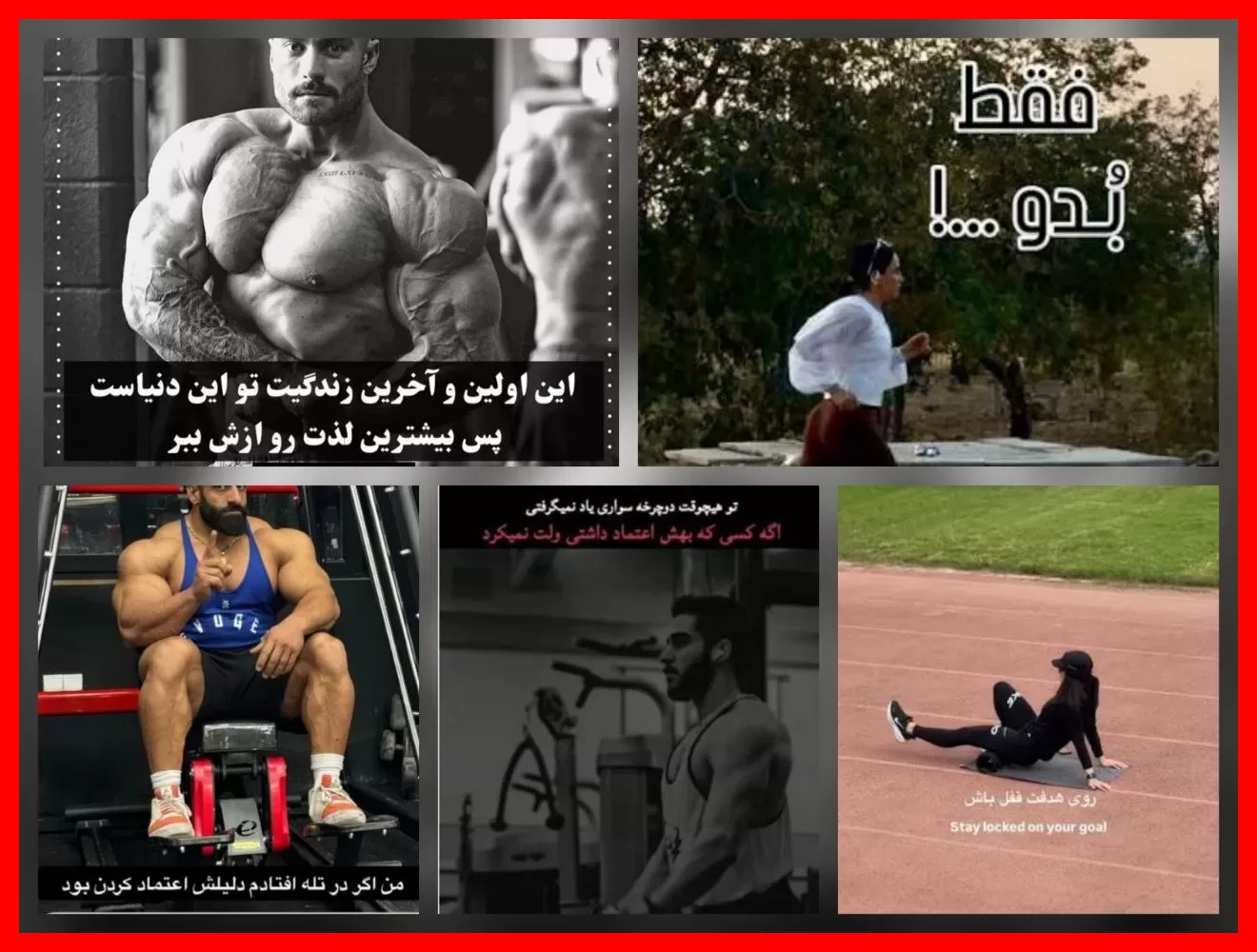دمبل‌های سنگین، اندیشه‌های سبک؛ وقتی فیلسوفان تردمیل در اینستاگرام به نجات بشریت می‌آیند! 