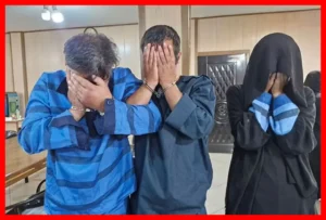 دستگیری زوج سارق حرفه‌ای کامپیوترهای پژو ۲۰۶ در تهرانپارس