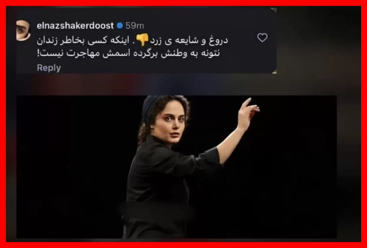الناز شاکردوست: به دلیل این حکم نمی‌توانم به ایران بازگردم + عکس