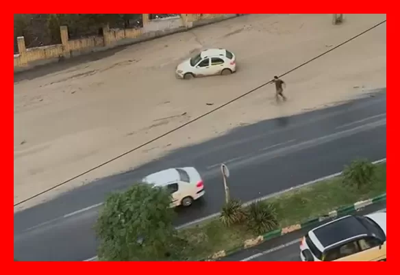 سایتتتت