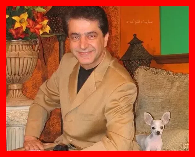 شبخیز