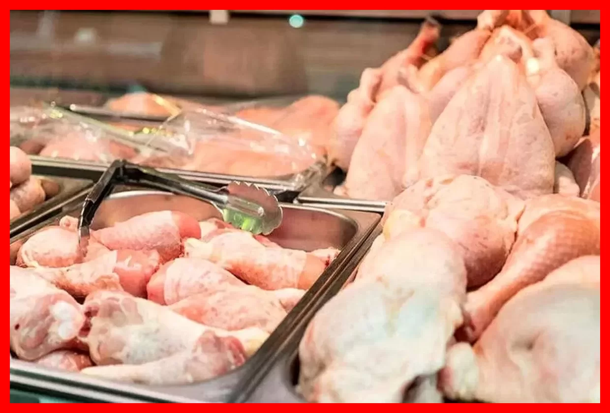 آخرین قیمت مرغ در ۲۳ مهر ۱۴۰۵؛ فیله و سینه مرغ چند تومان قیمت خورد؟