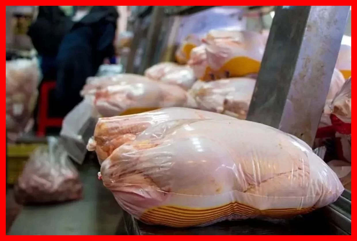 قیمت مرغ گرم امروز ۲۸ مهر ۱۴۰۵ اعلام شد؛ افزایش قابل توجه قیمت مرغ