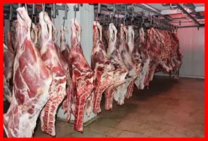 قیمت گوشت وارداتی افزایش یافت؛ آیا ایران نیاز کمتری به واردات خواهد داشت؟