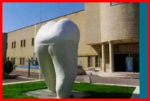 شایعه پخش‌شده درباره طاعون در کرمانشاه حقیقت دارد؟