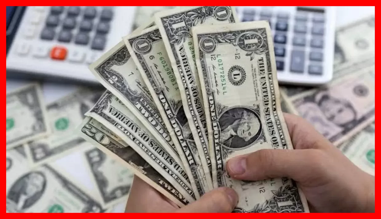 جدول قیمت دلار و ارزهای دیگر امروز شنبه ۱۱ مهر ۱۴۰۵؛ نرخهای بهروز و دقیق