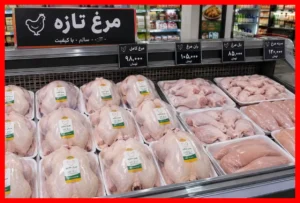 قیمت روز مرغ شنبه ۲۵ مهر ۱۴۰۵؛ هر کیلو مرغ چقدر قیمت دارد؟