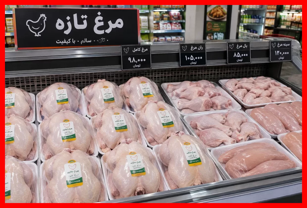 قیمت روز مرغ شنبه ۲۵ مهر ۱۴۰۵؛ هر کیلو مرغ چقدر قیمت دارد؟